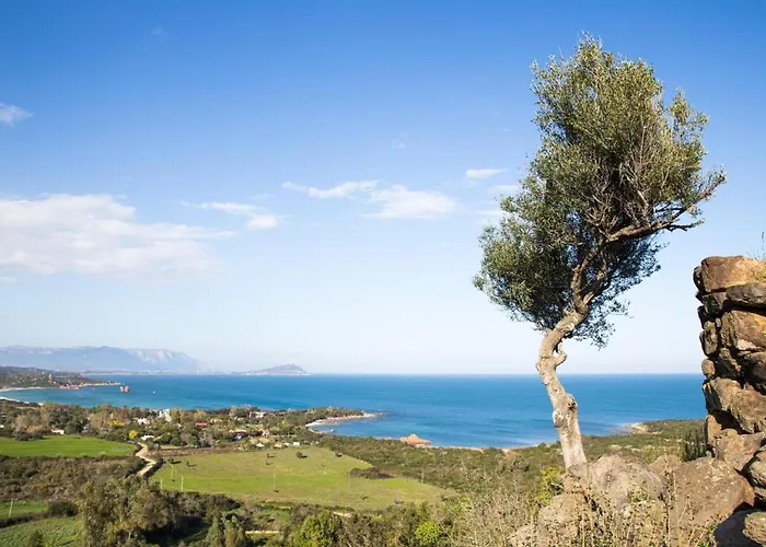 Su Barraccu Del Golgo 公寓 包内伊