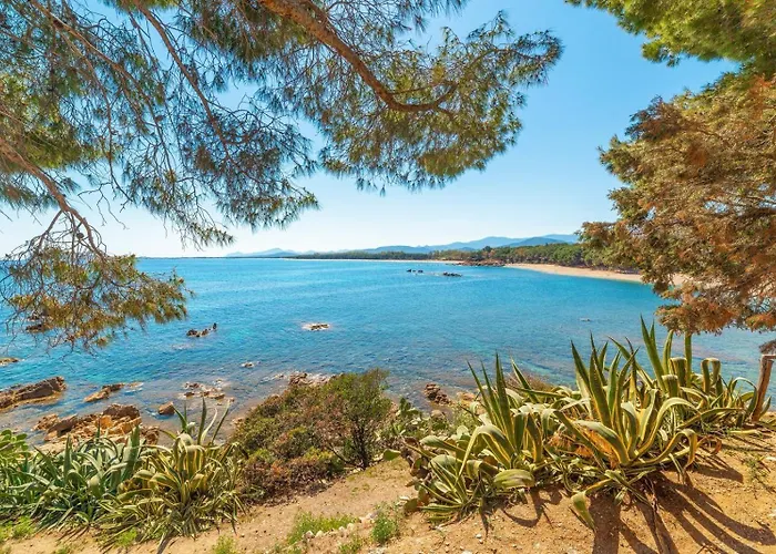 公寓 Su Barraccu Del Golgo