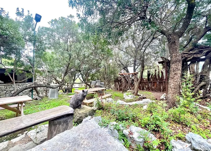 Su Barraccu Del Golgo 公寓